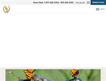 Tablet Screenshot of csd-mont-tremblant.com